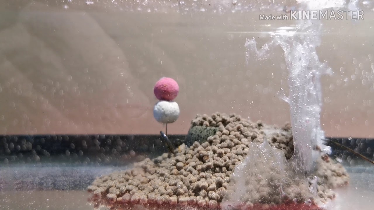 P&ecirc;che au sac soluble