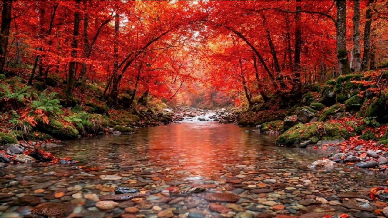 A Peaceful Fall in 4K with Gentle, Soul-Soothing Piano