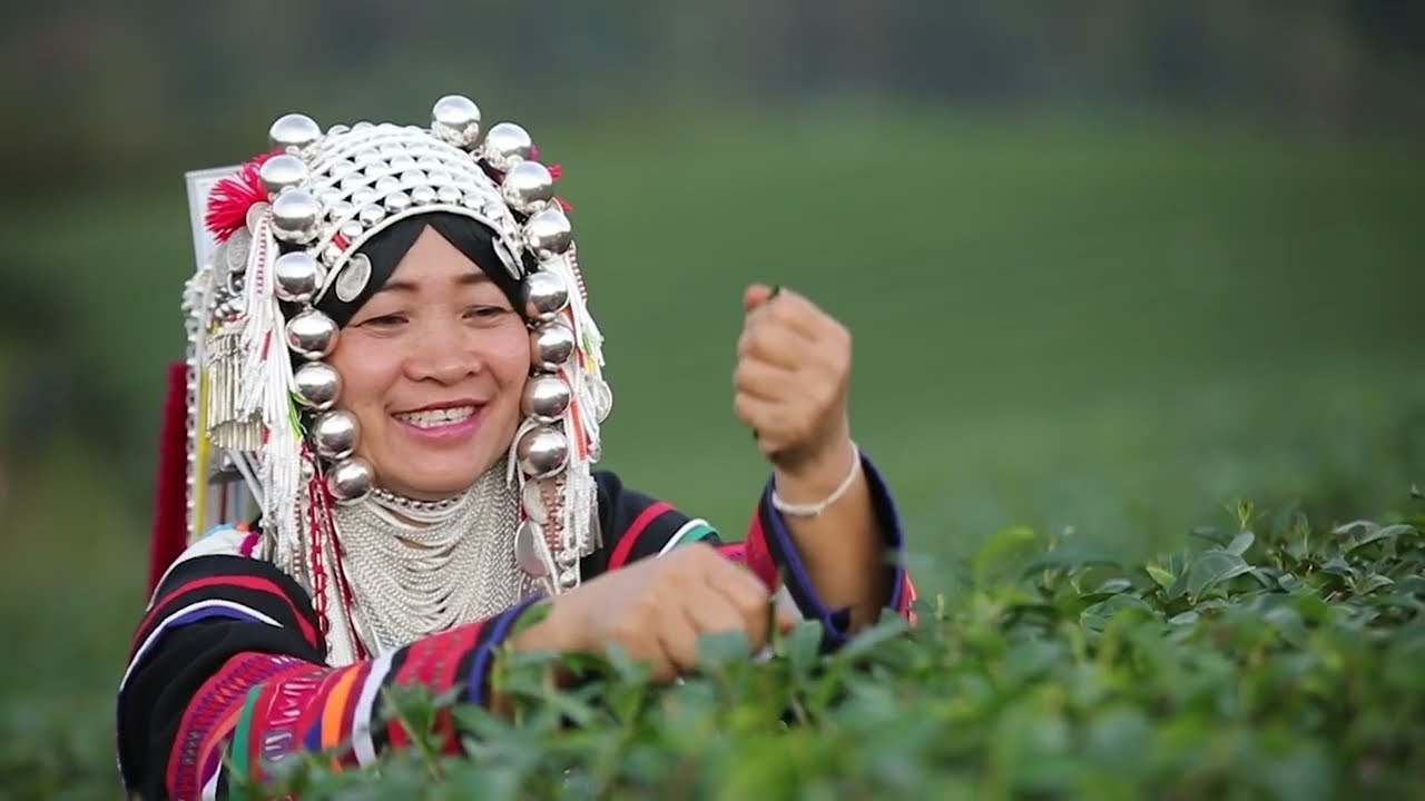 GI Thailand : Ep.3 : Priceless GI Products (Subtitle English)