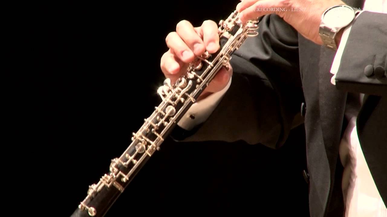 J.S. Bach Oster Oratorium BWV 249: Adagio ( Kai Rapsch, Oboe )