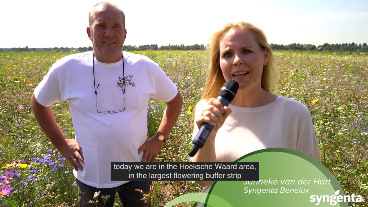 Goede Groei, episode 1: Bloemenstroken en Akkerranden