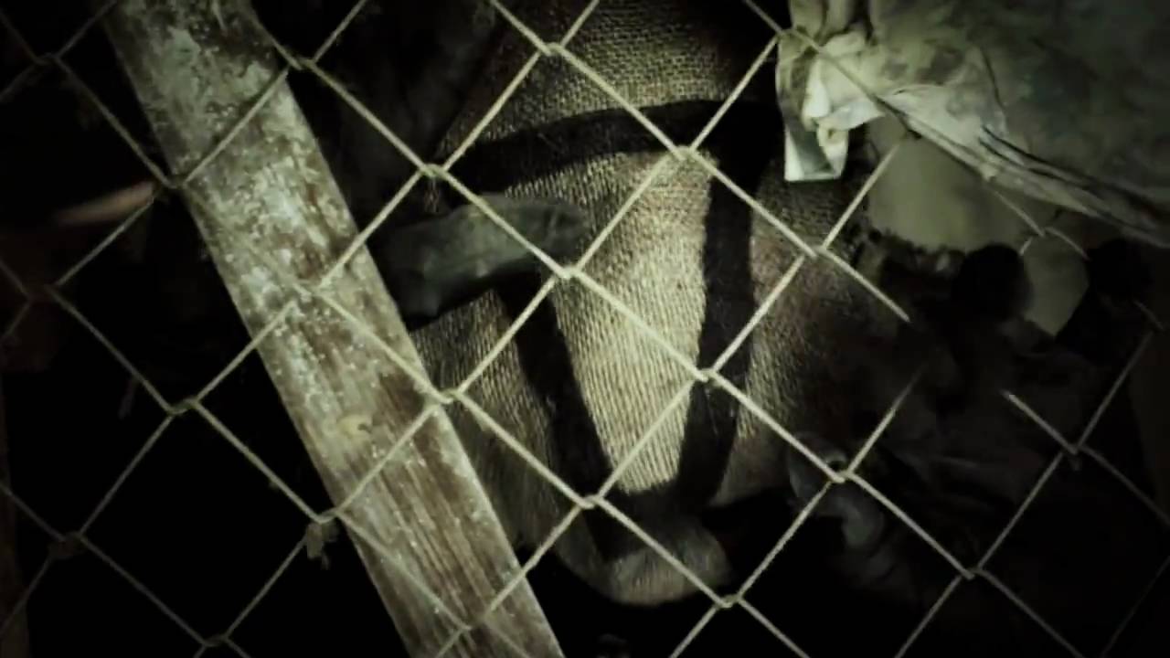 16 Barre/Watch the dog - Prigioni Mentali (Official music video)