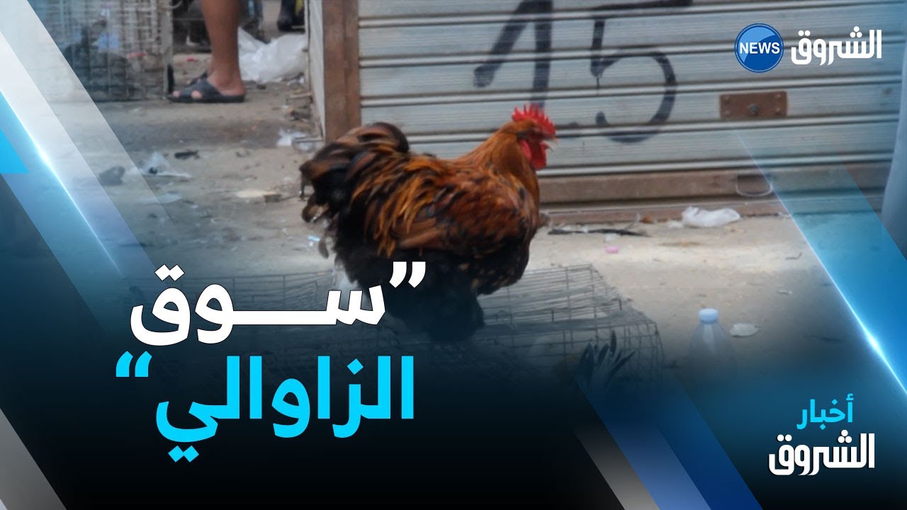 بومرداس.. سوق بودواو.. سوق بعبق الماضي