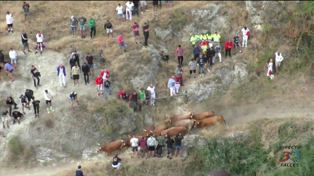 Falces, Fiestas 2025, Directo Quinto Pilón, Jueves 21/08/2025