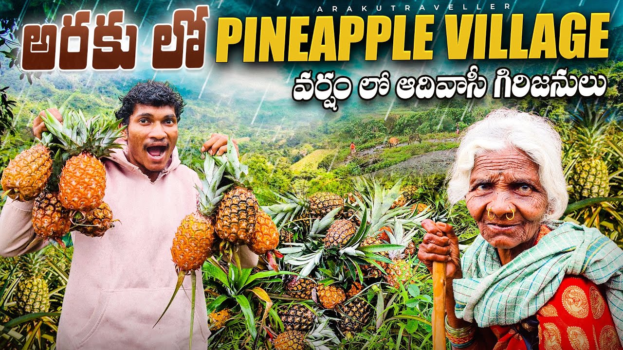 Sustainable Living in Araku: Tribal Farmers Share Their Secrets