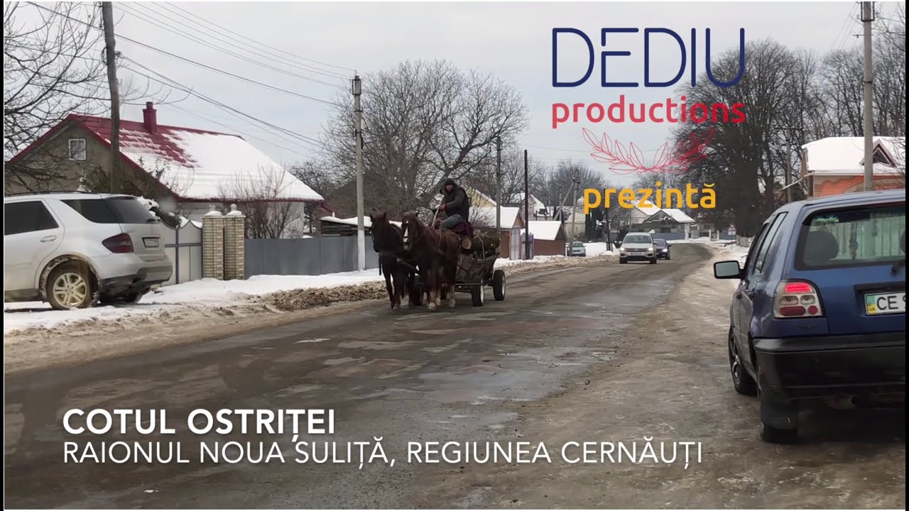 Cotul Ostriței, raionul Noua Suliță, regiunea Cernăuți