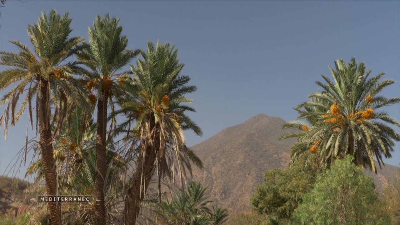 Au sommet de l’Atlas : l’ascension du Toubkal entre aventure, économie locale et défis climatiques
