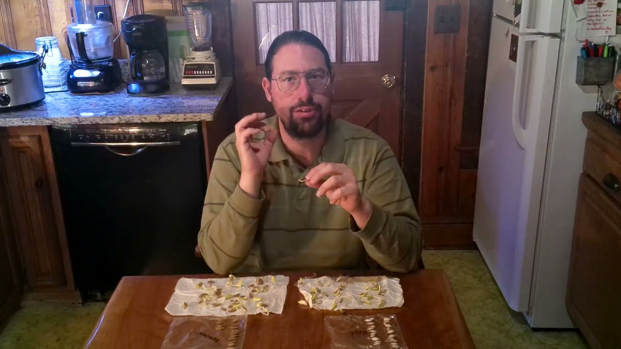 Can I Plant Old Seed? Germination Testing & Planting Tips!
