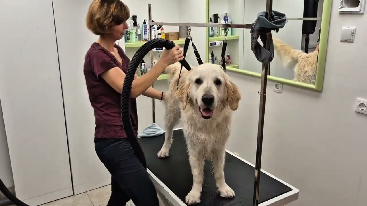 Pumbas Wellness Day - Kroatien 2025