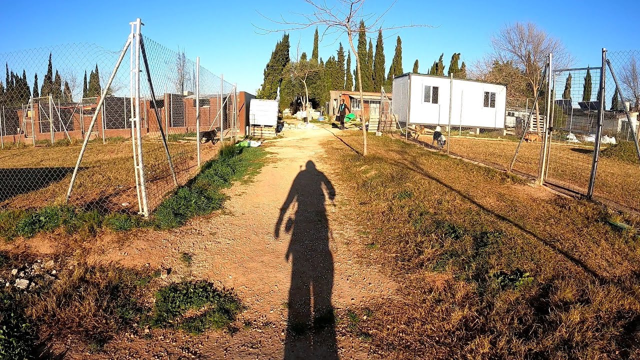 29 SEP - Directo - Paseo perros del refugio Modepran y charlando con vosotros. Os ven&iacute;s?