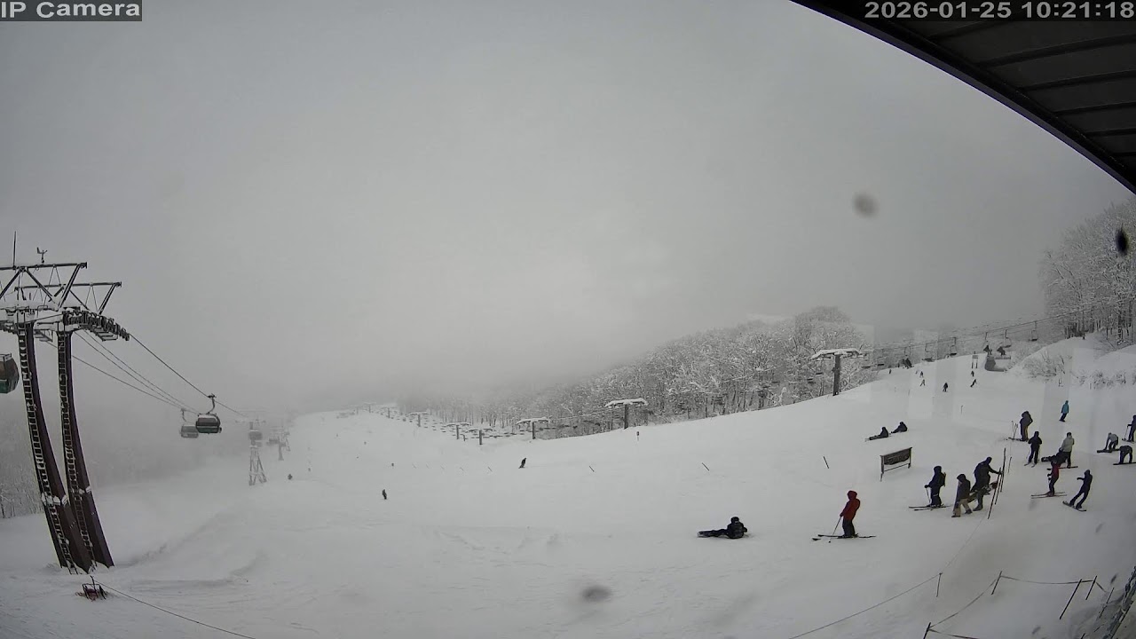 Camera Hakuba47 - 2026-01-25 10:05