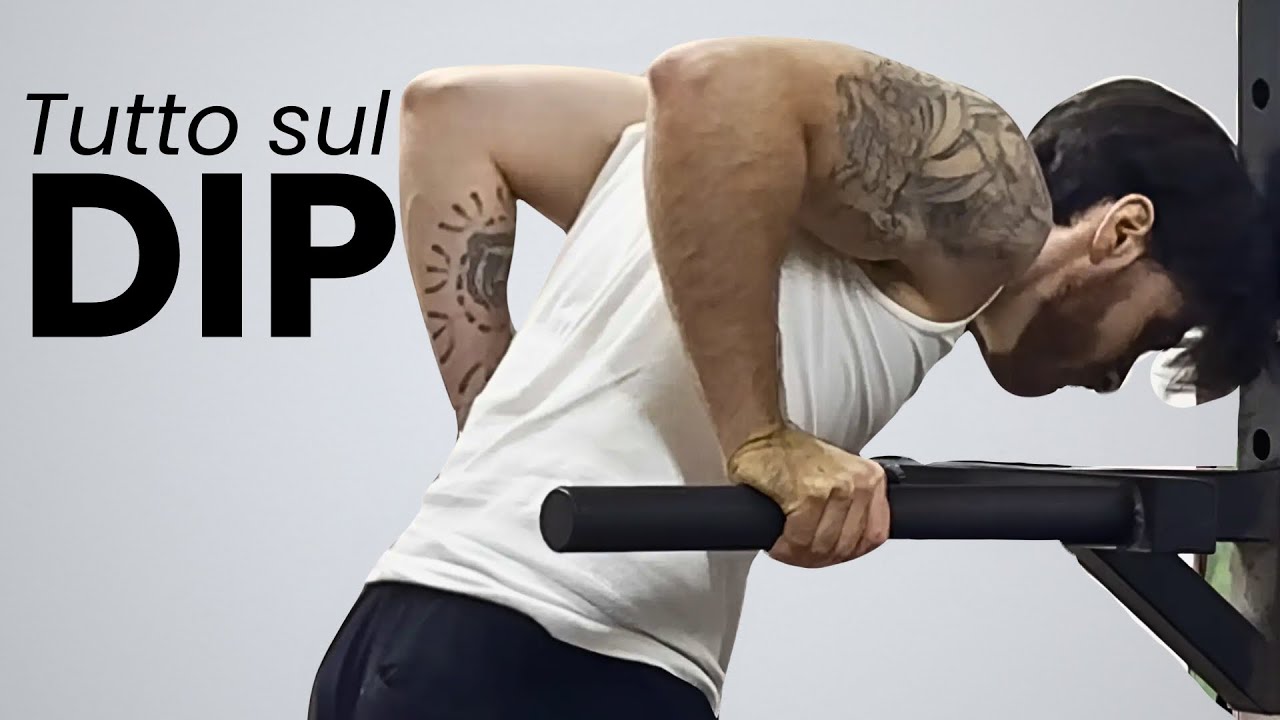 IL DIP || Tutto quello che devi sapere