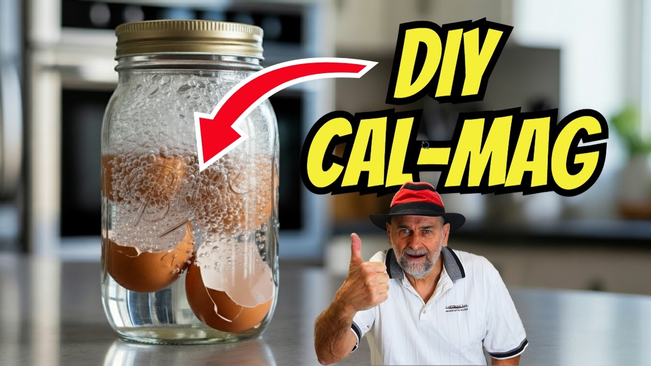 Make Your OWN  Calcium & Magnesium (CalMag) Fertilizer Solution
