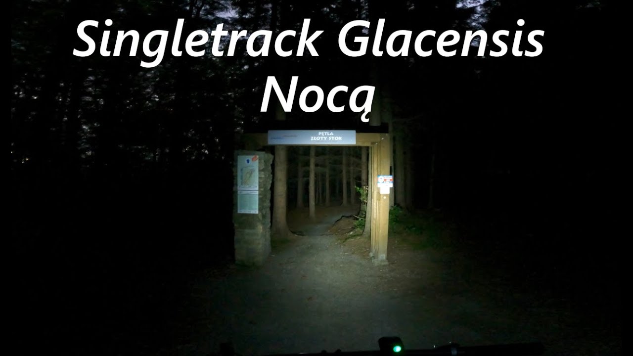 Nocny przejazd Singletrack Glacensis. Przejazd z oświetleniem po lesie. Pętla Złoty Stok (zjazd).