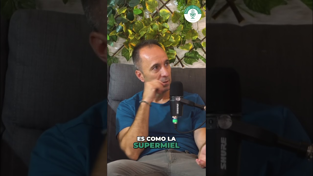 QU&Eacute; es la JALEA REAL?