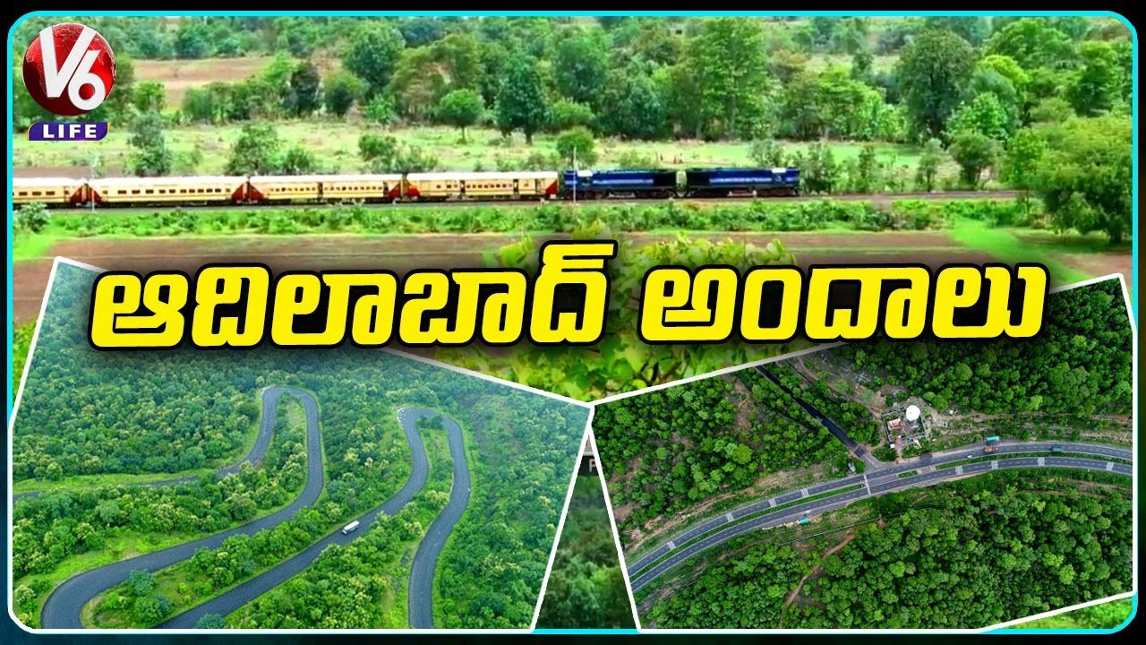 Beautiful Nature And Wildlife Areas Of Adilabad  | Beauty Of Adilabad |  V6 Life
