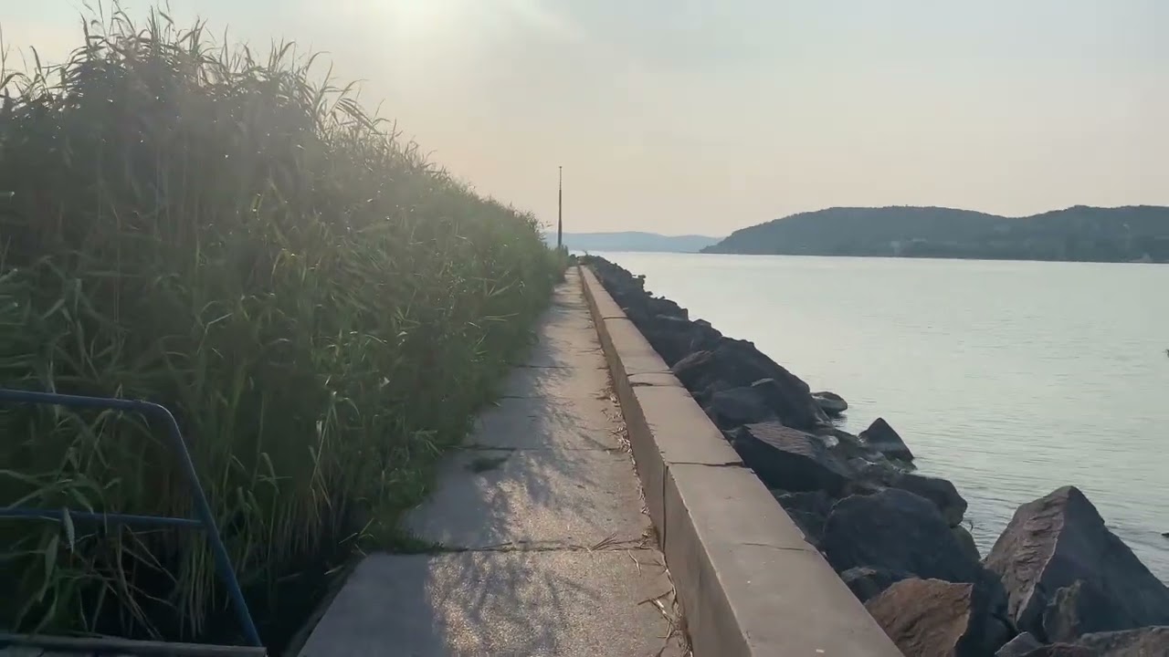 Balaton, n&aacute;das, Sz&aacute;nt&oacute;d-r&eacute;v