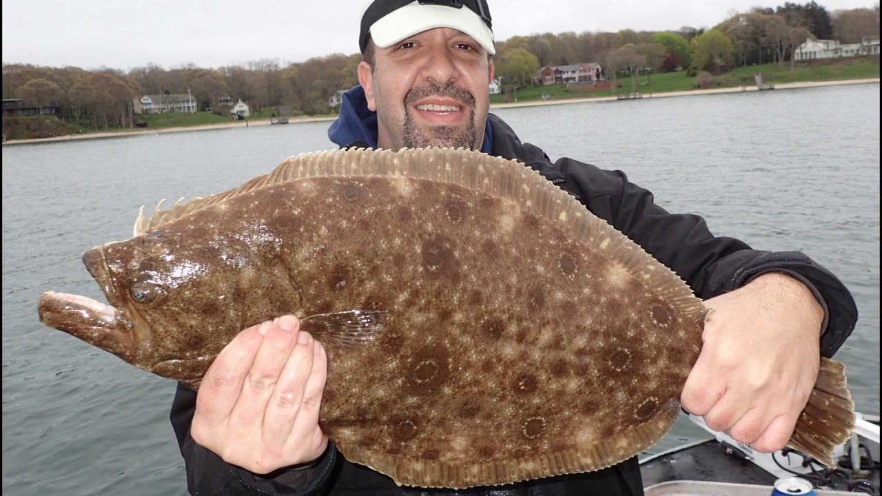 Fluke (Summer Flounder) Opening Day 2019!