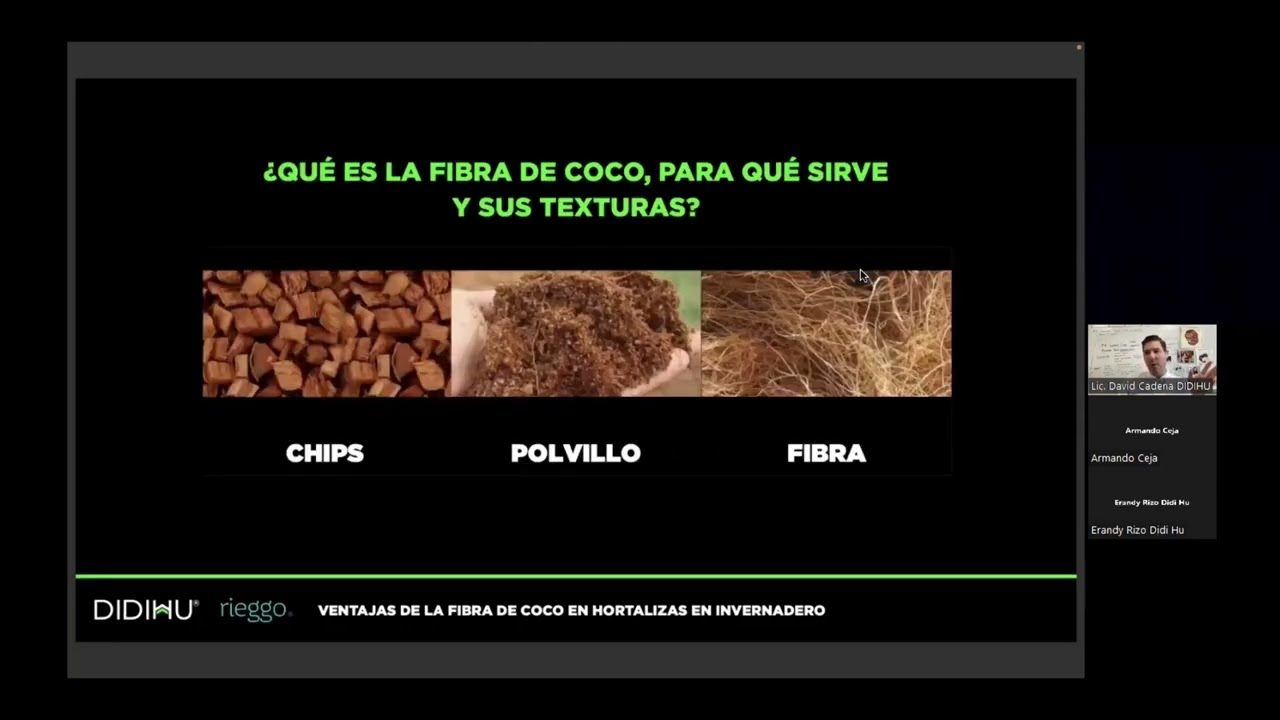 Hablemos de las ventajas de la fibra de coco en hortalizas en invernaderos.