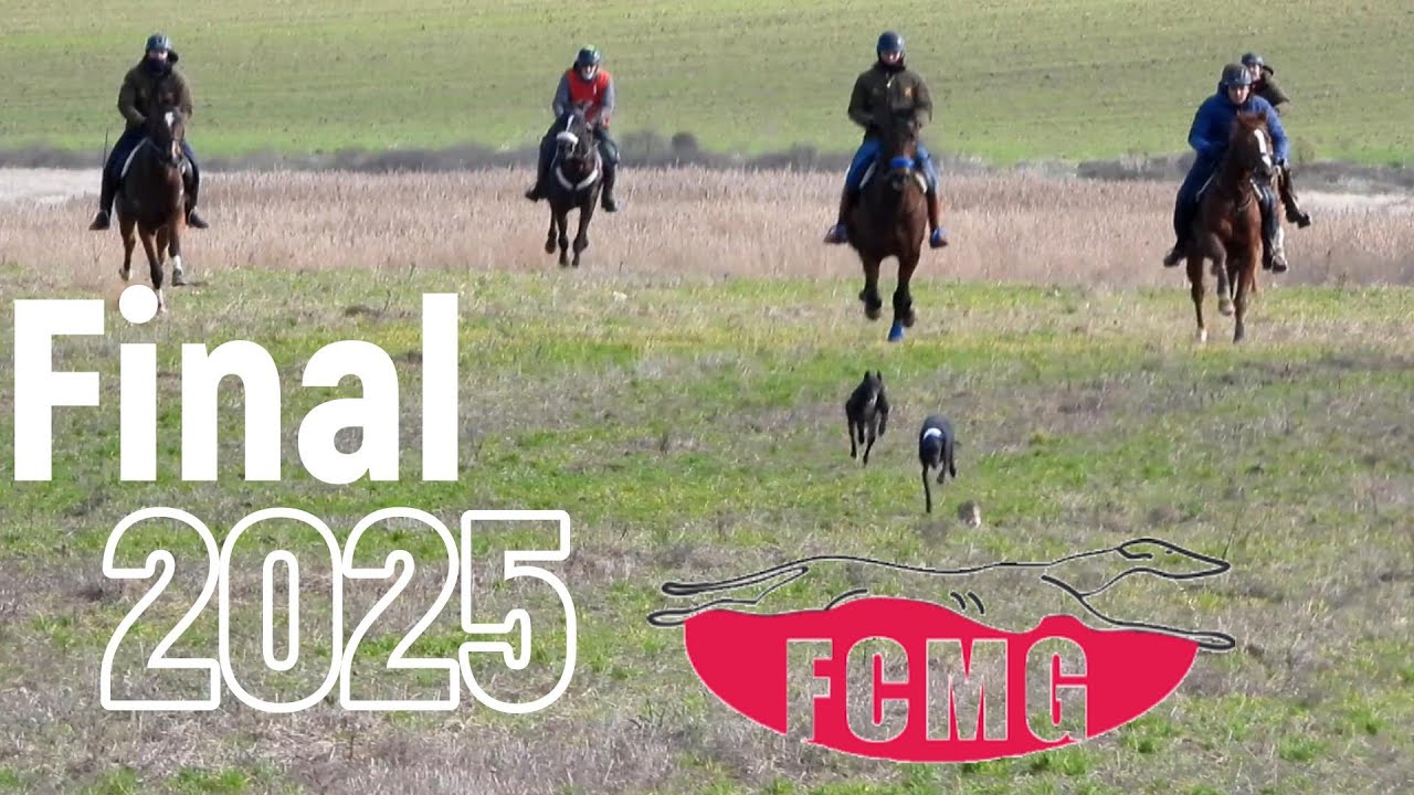 Fase final Federación Castilla la Mancha Galgos Diciembre 2025