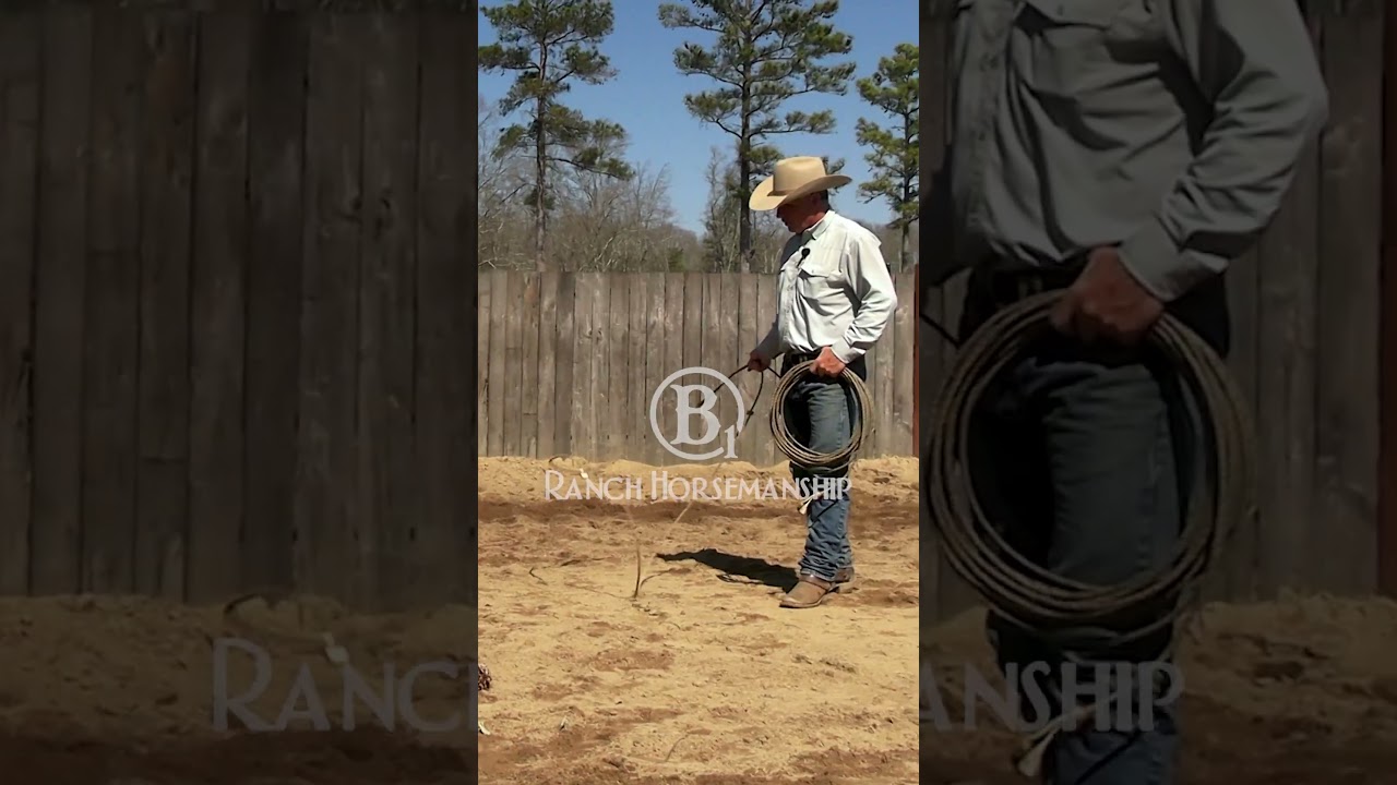 Ground driving is great for building foundation.  #horse #b1horsemanship #horseriding
