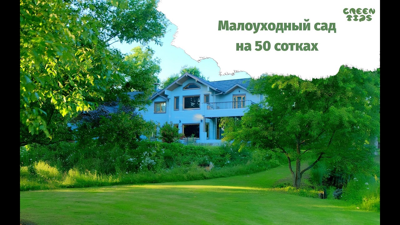 Елена Турчак в гостях у Татьяны Дик [Проект Грин Типс]