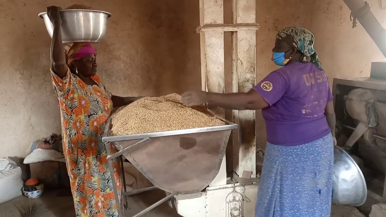 #Riceprocessingintamale #Northernghana LOCAL RICE IN TAMALE, NORTHERN GHANA 🇬🇭
