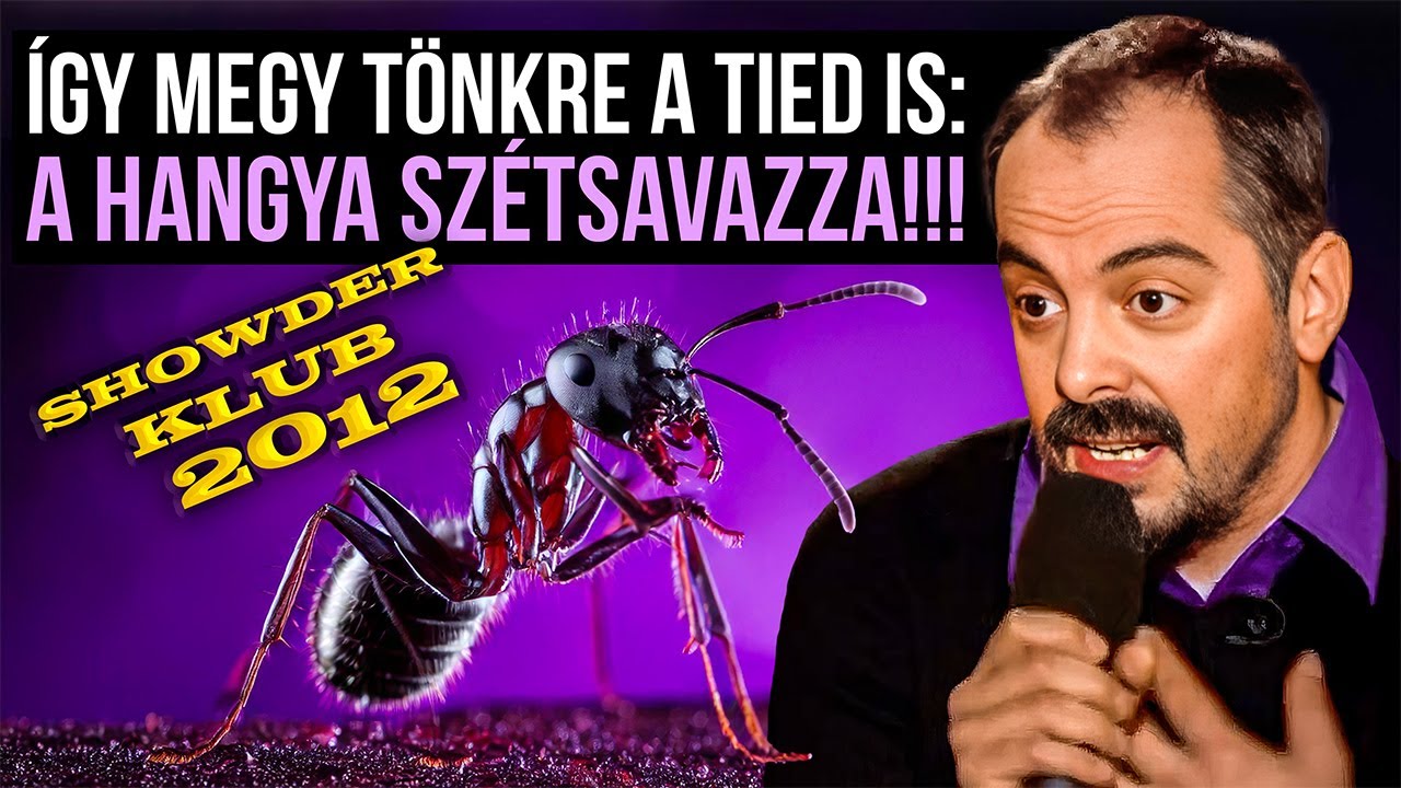 Így megy tönkre a tiéd is: A hangya szétsavazza! | Showder Klub 2012