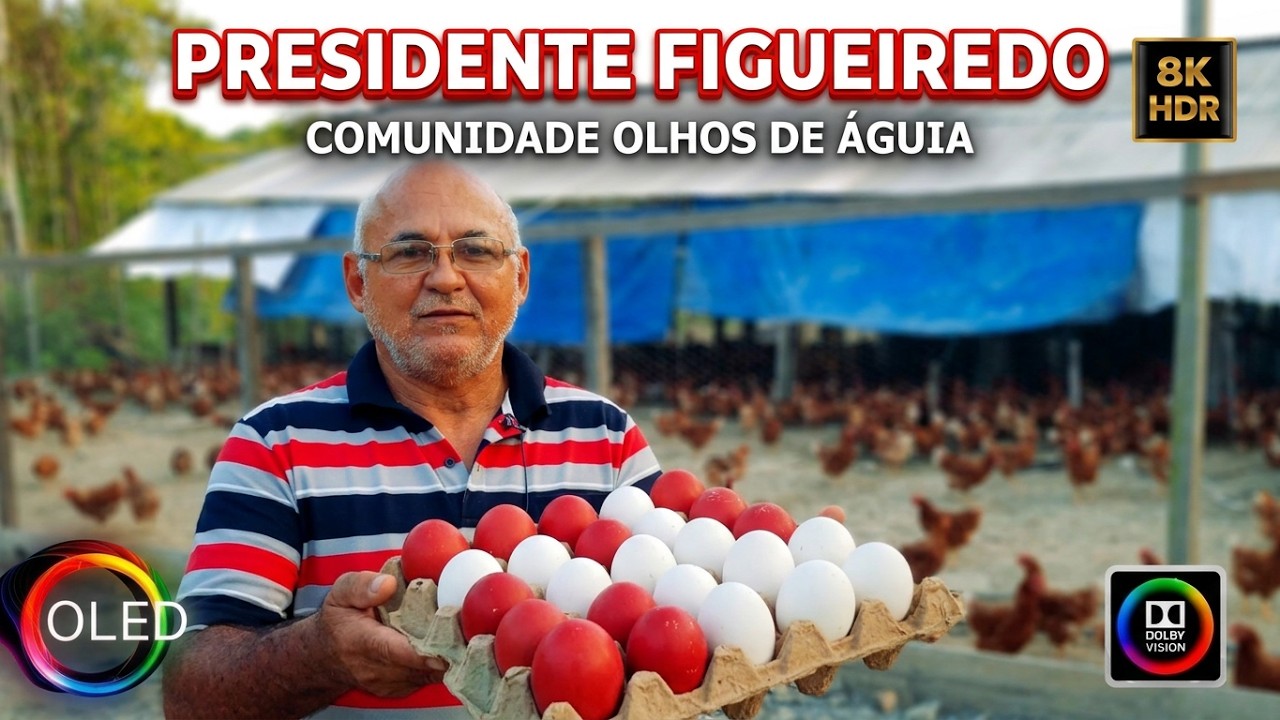 AVICULTURA COMUNIDADE OLHOS DE ÁGUIA  AMAZÔNIA 8K HDR UM OLHAR DIFERENTE