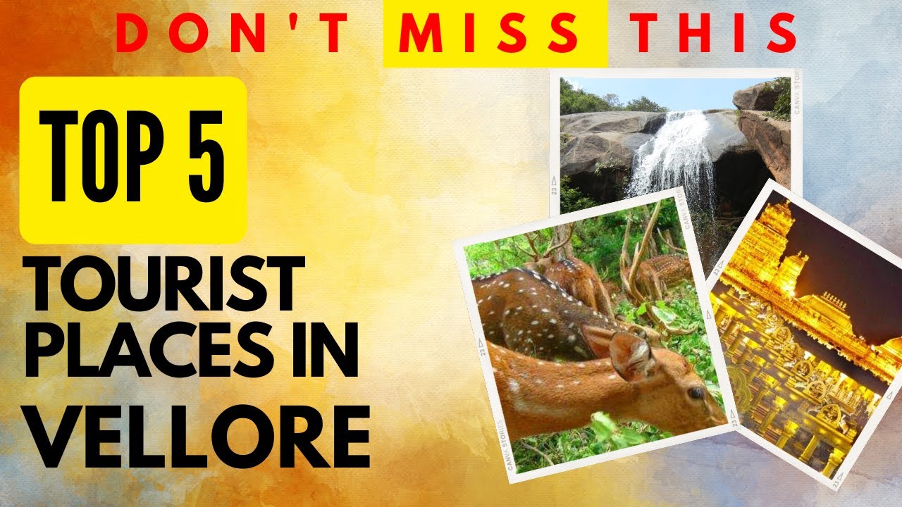 Top 5 Tourist Places To Visit in Vellore | Vellore Tourist Places #vellore #placestovisit