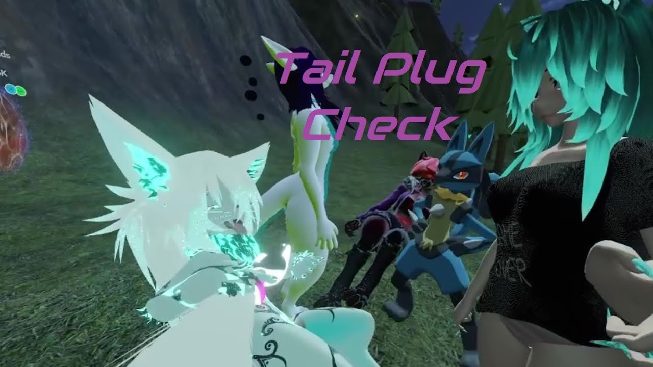 Tail Plug Check