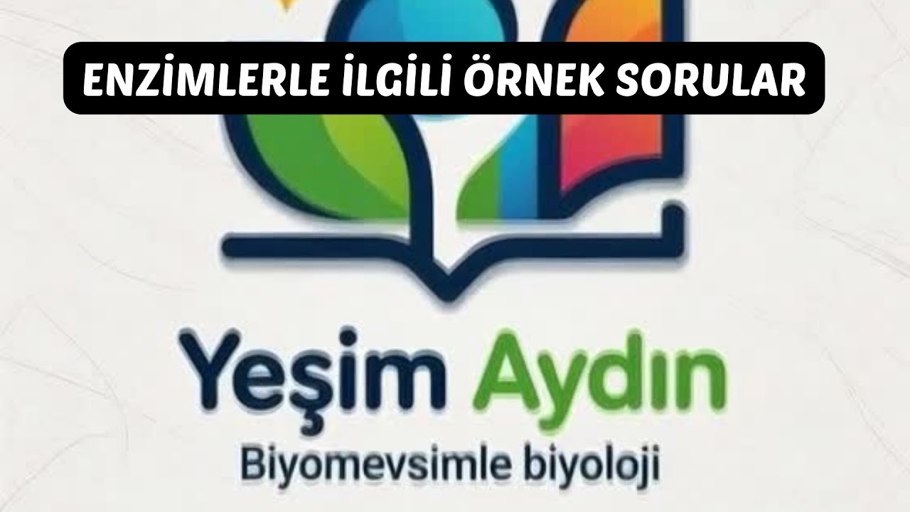 TYT-ENZİMLERLE İLGİLİ ÖRNEK SORULAR