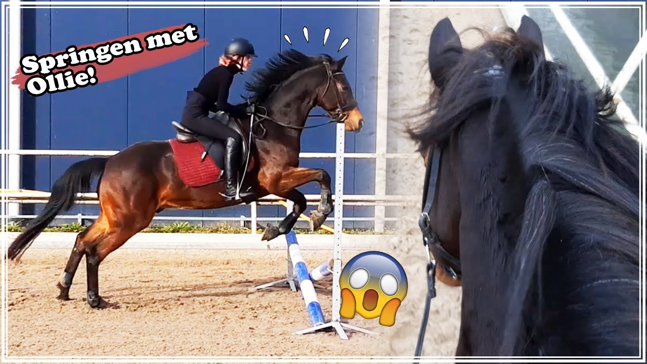 Springen met mijn eigen paard Ollie! Als dat maar goed gaat 🙈 Vlog | Zoo Lianne