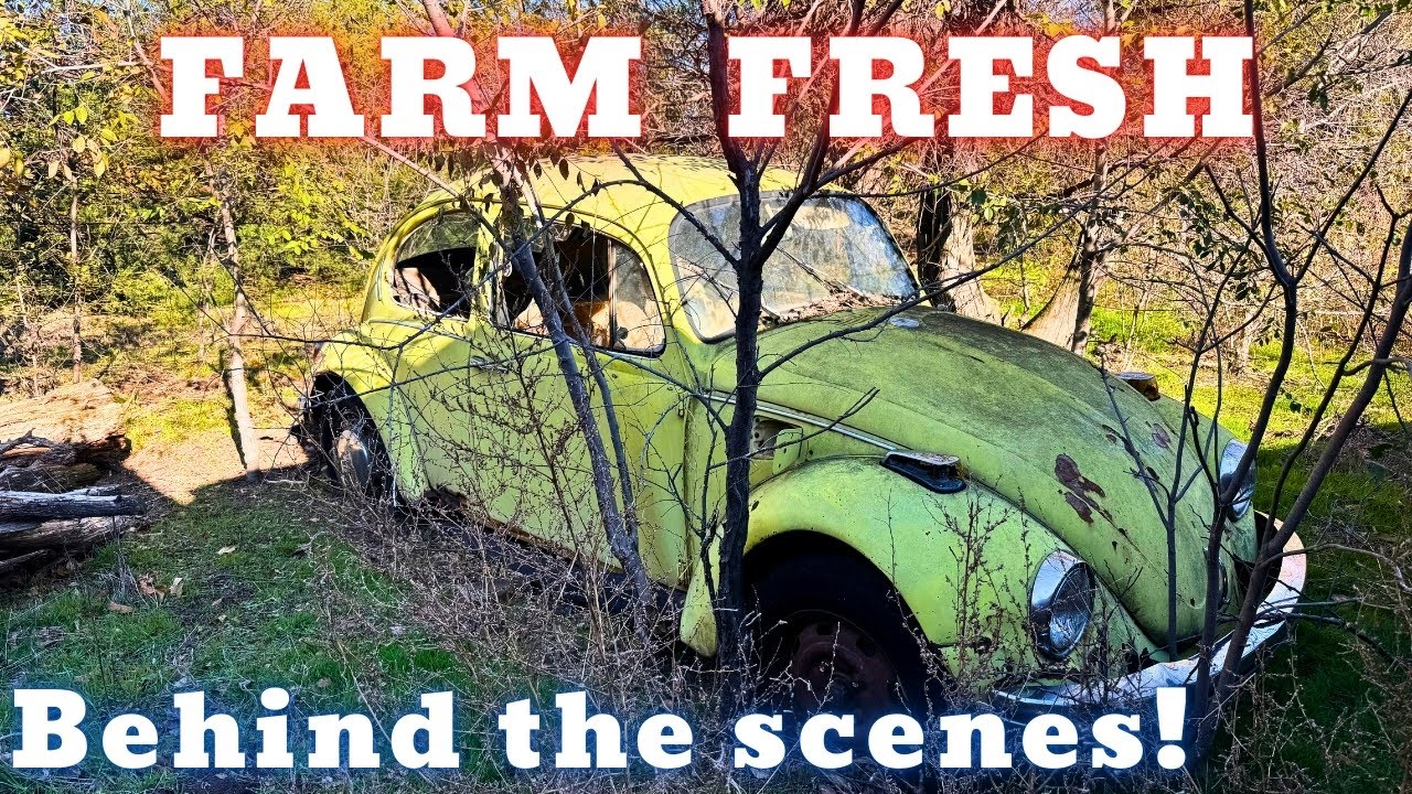 Behind the Scenes at the Junkyard - Making some PROGRESS Finally!
