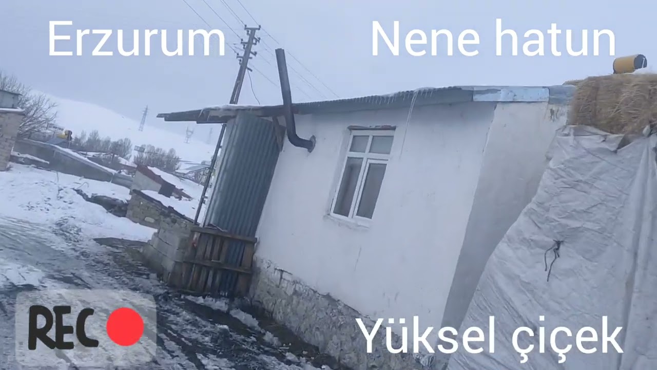 Erzurum / Nene hatun / 05 02 2024