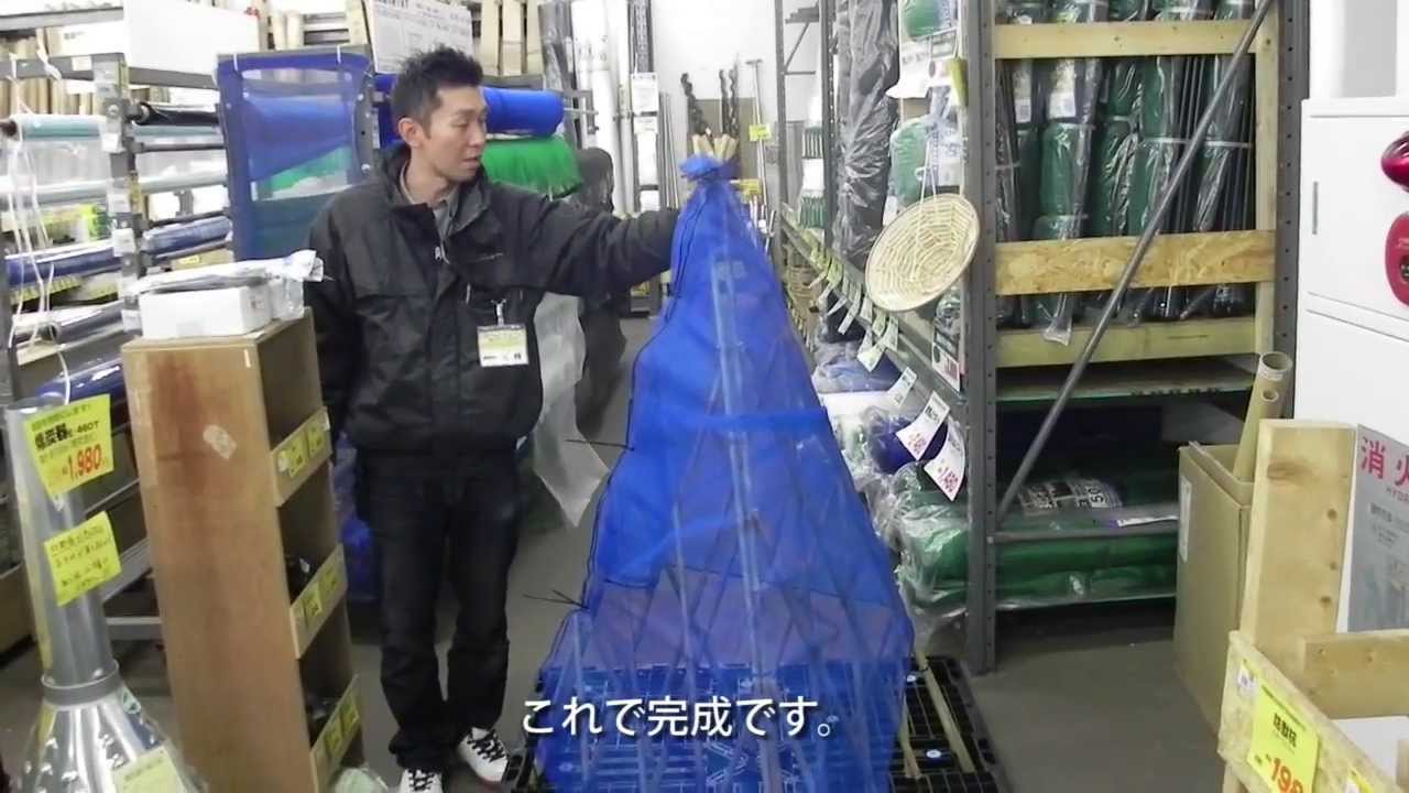 5分でできる！冬囲い｜ジョイフルエーケー