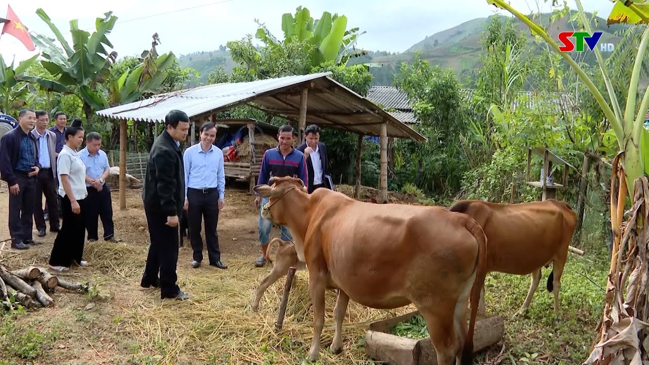 Hỗ trợ sinh kế người dân vùng dân tộc thiểu số