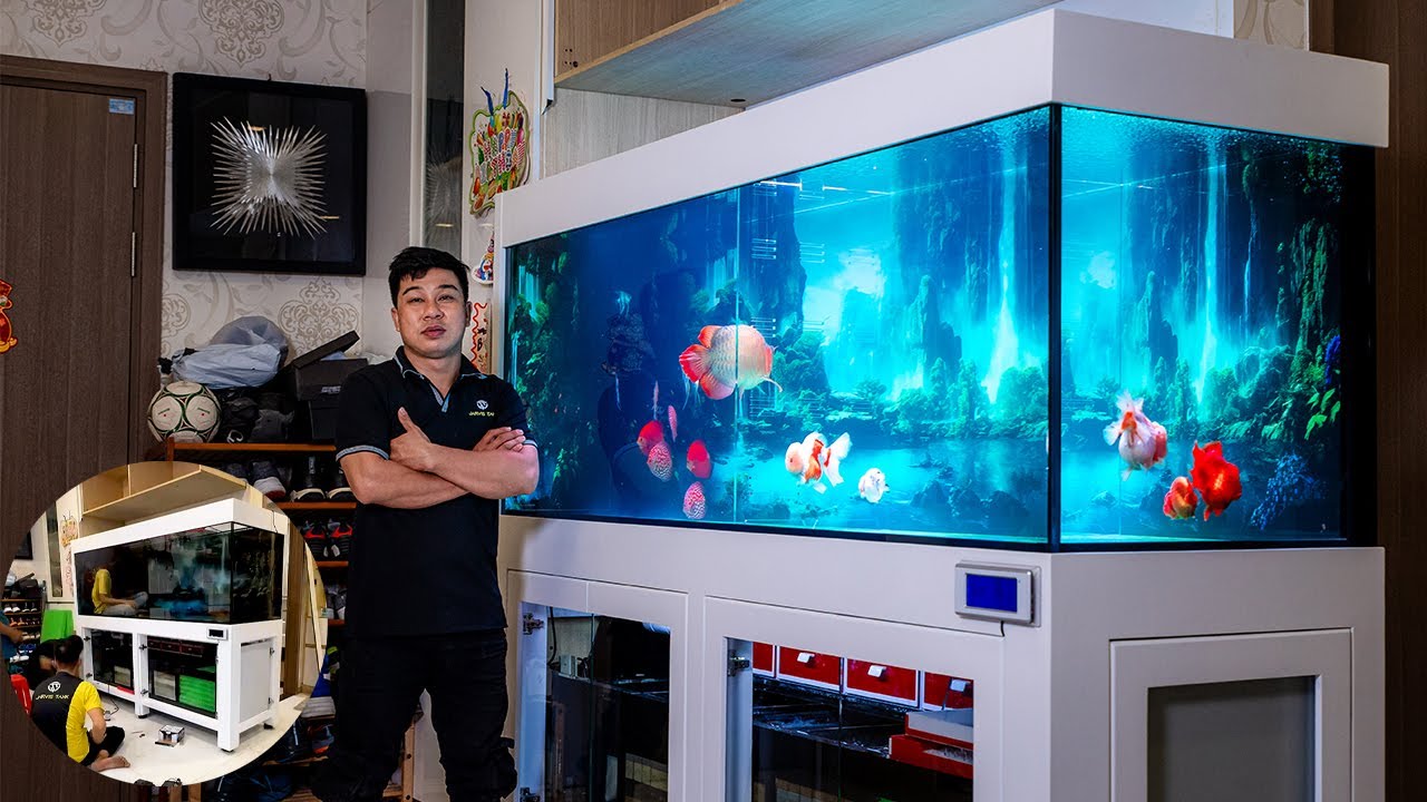 Team Jarvis đi Landmark 81 lắp đặt HỒ CÁ CÔNG NGHỆ chơi cá Rồng ốp Gỗ Full 3 mặt siêu