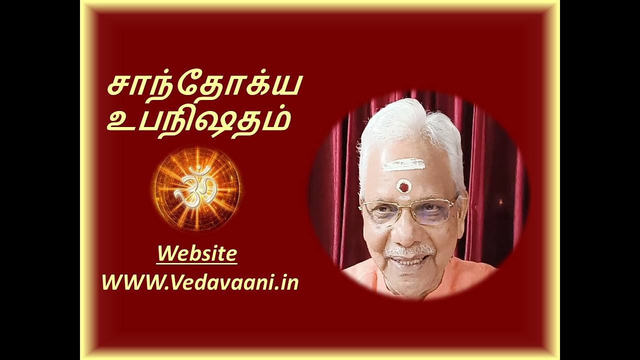 Chandogyopanishad|Talk-49|Ch-7|Sec 24-Deep Analysis|dt 28-7-23