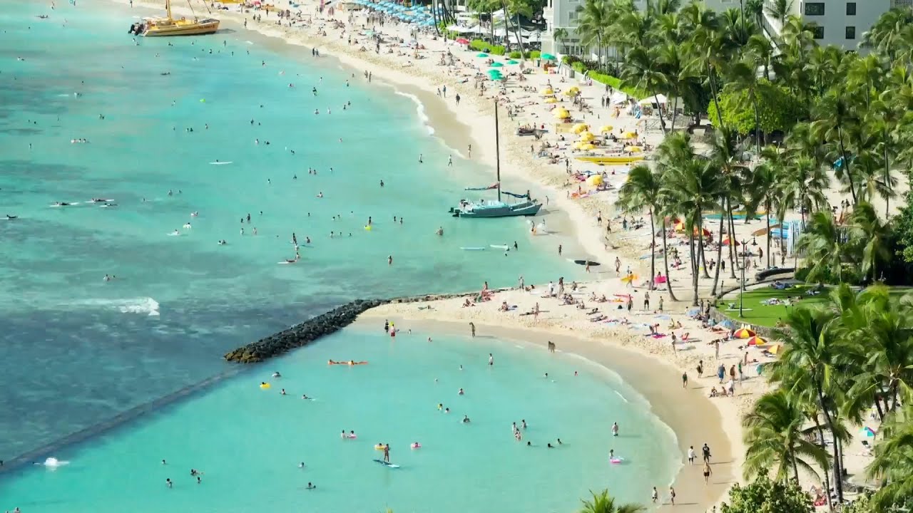Aloha ! 夏威夷！|  Ping Pong Talk
