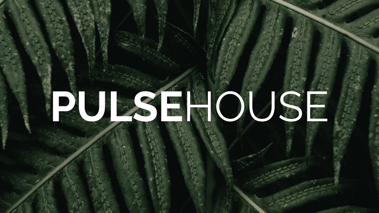 🌍 Roots In Motion – Afro House | Organic & Hypnotic Groove