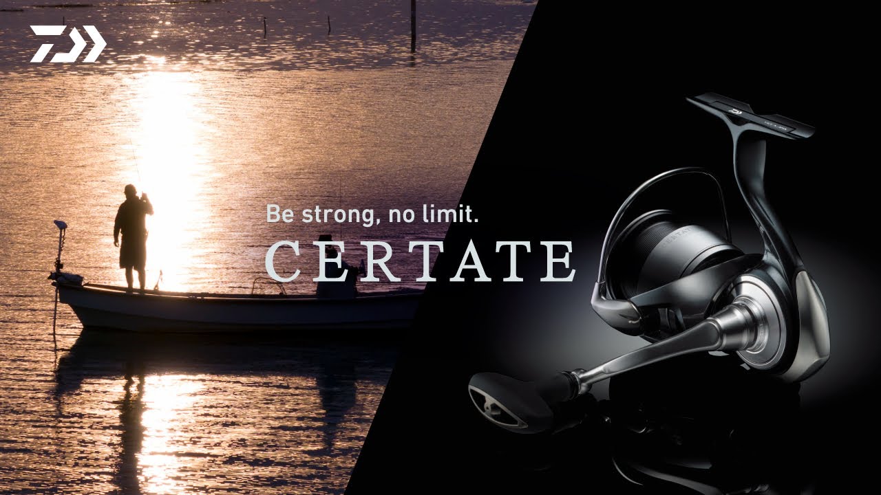 24 CERTATE | Be strong, no limit