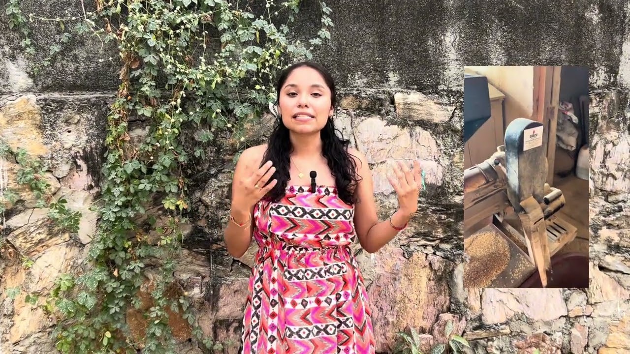 El Café Pluma como patrimonio cultural del pueblo de Pluma Hidalgo, Oaxaca.
