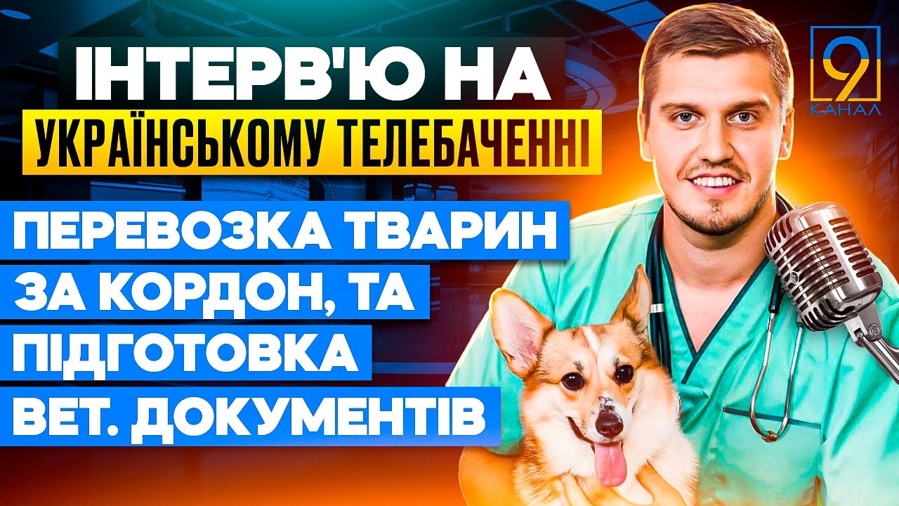 ВАШ ПИТОМЕЦ в безопасности! Правила перевозки животных для идеального путешествия!