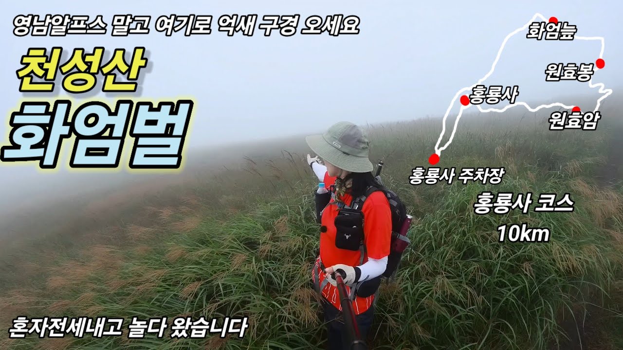 2025년 9월 13일/영남 알프스 억새만큼좋은 천성산 화엄벌/가을 느끼고싶을때 가면좋아요/홍룡서 코스 추천코스 천성산 억새보기 좋은코스