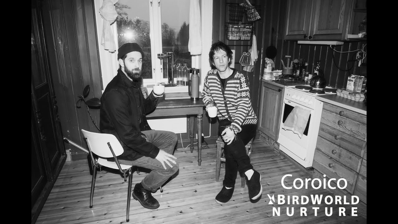 BirdWorld - Coroico Music Video