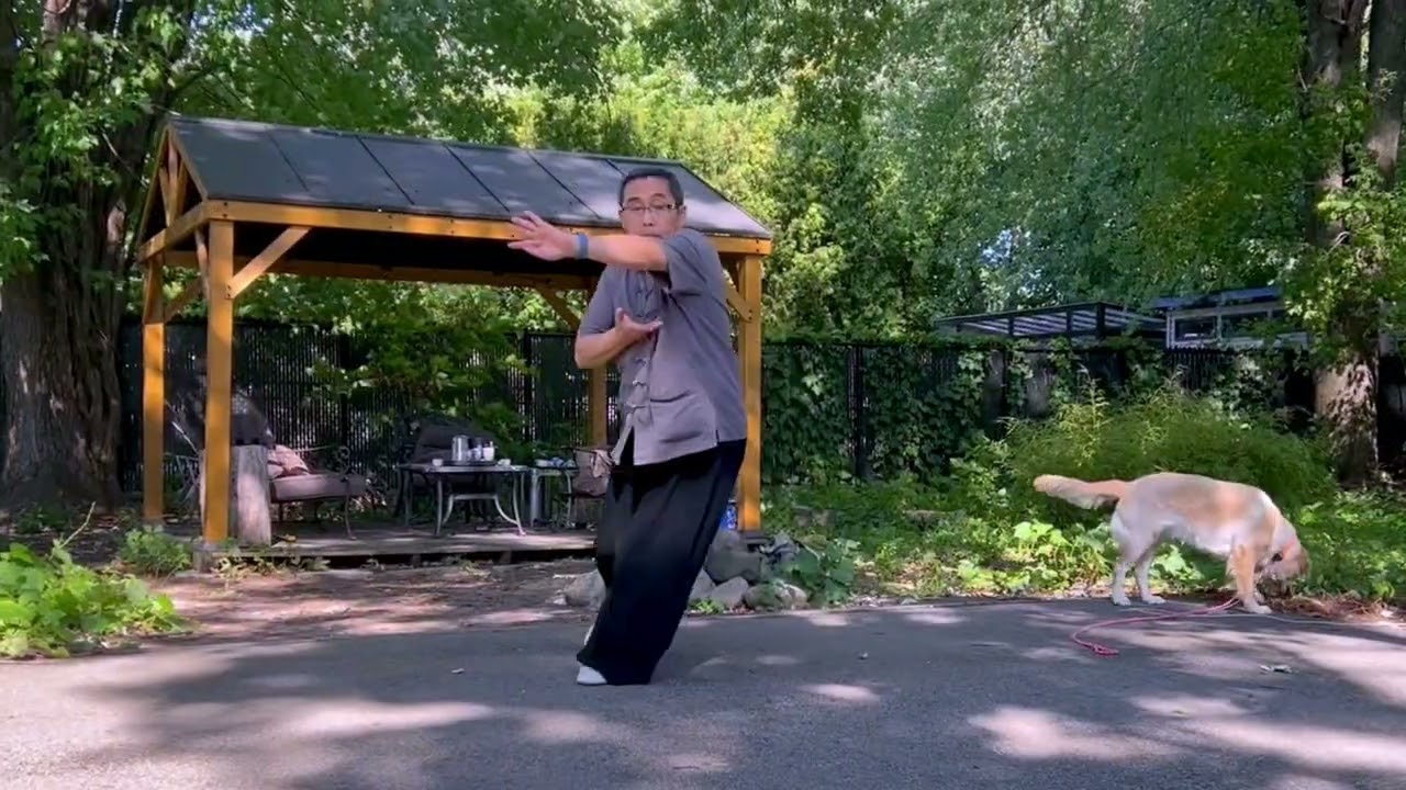 Tiger (Part 1): XingYi-BaGua Palm