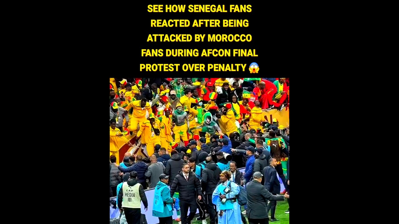 Morocco fans attacked Senegal fans 😱