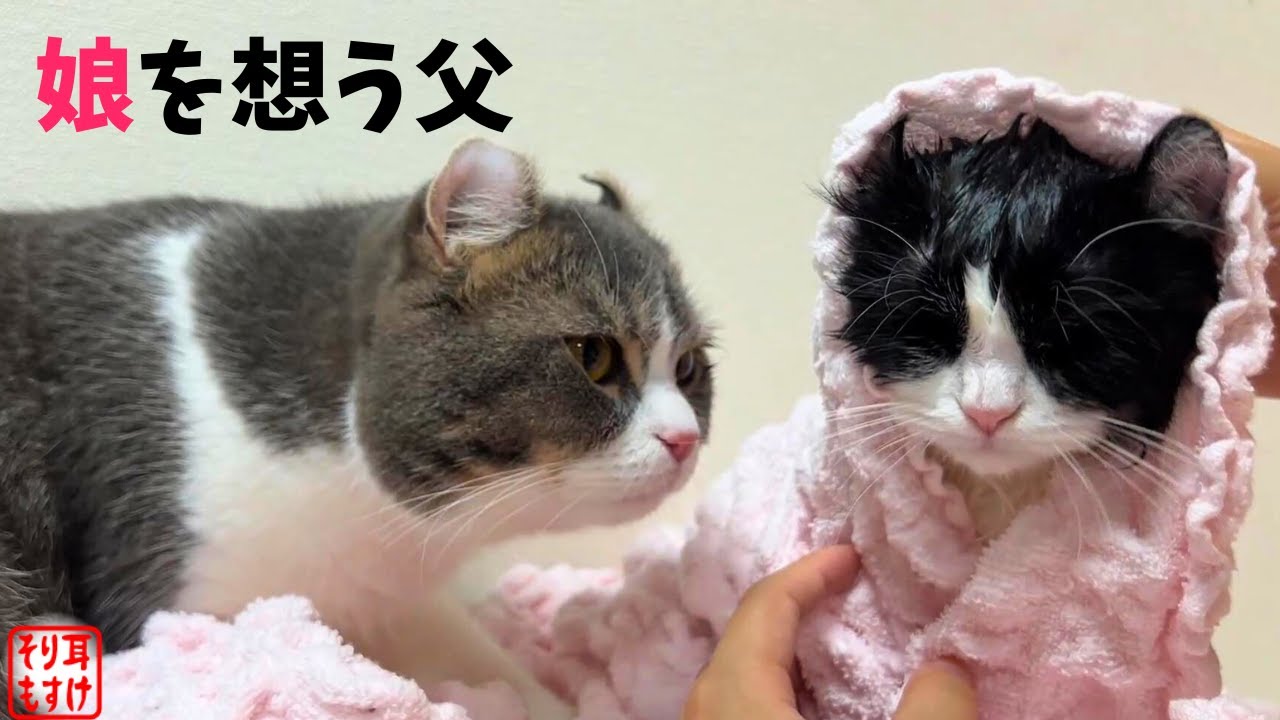 風呂に入った娘を心配し過ぎちゃうお父さんがこちらw