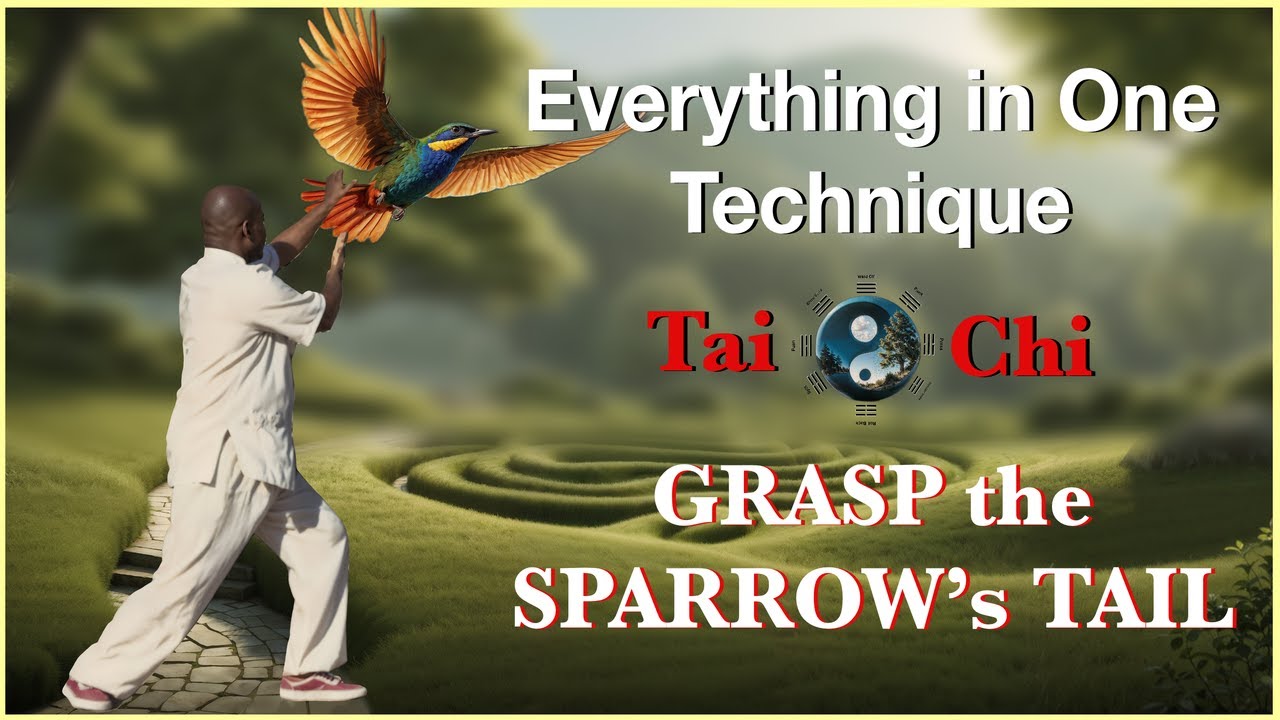 Grasp the Sparrow's-Tai Chi Yang Style 24 Form Step by Step using The Tai Chi Code